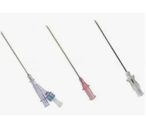 Introducer Needle